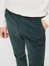 Pantalon chino slim en velours